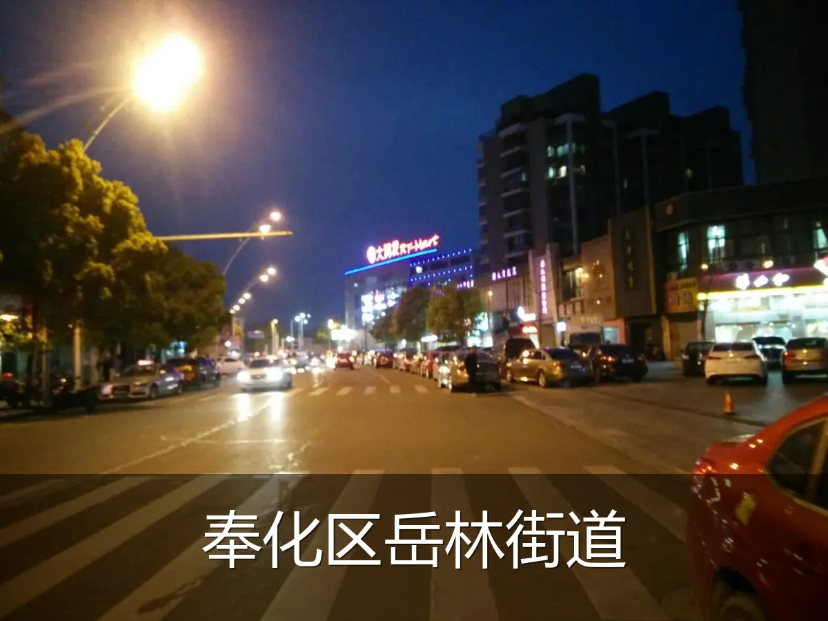 奉化区岳林街道