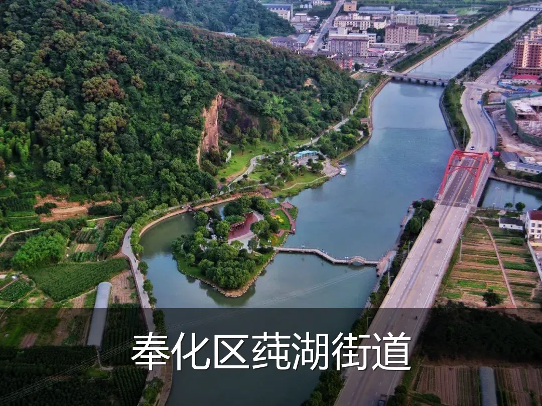 奉化区莼湖街道